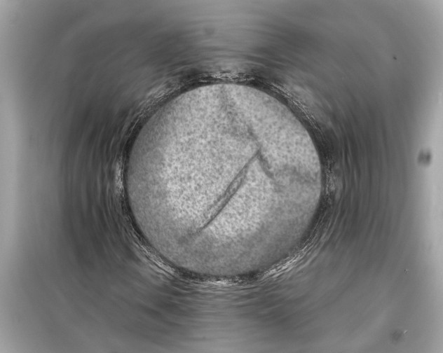 X0000098221106200805221642