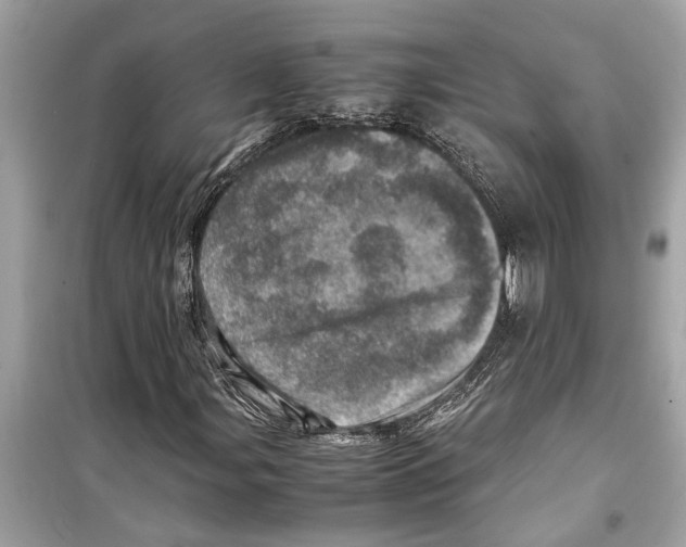 X0000098221107200805221642