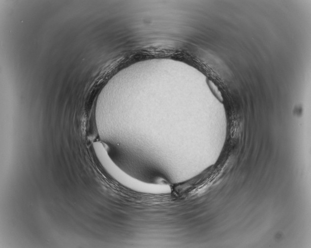 X0000098221108200805221642