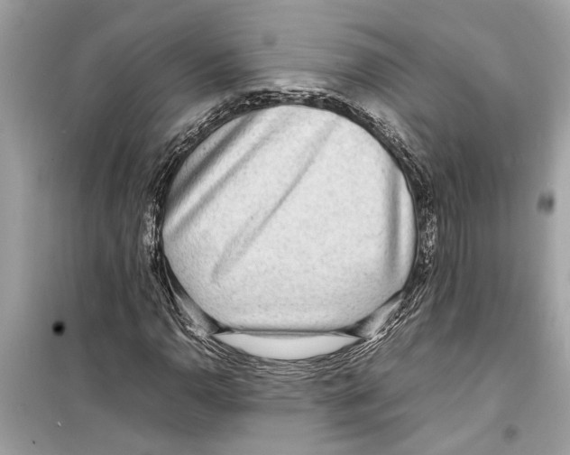 X0000098221110200805221642