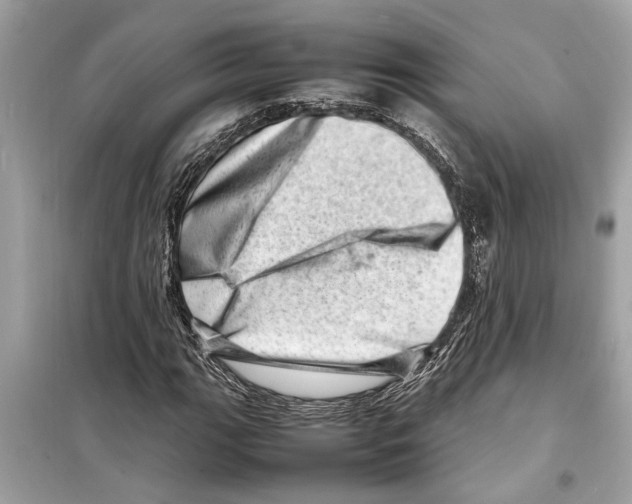 X0000098221111200805221642