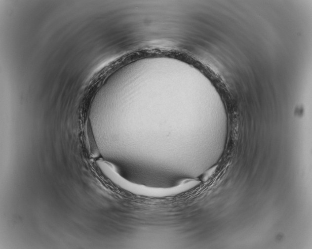 X0000098221112200805221642