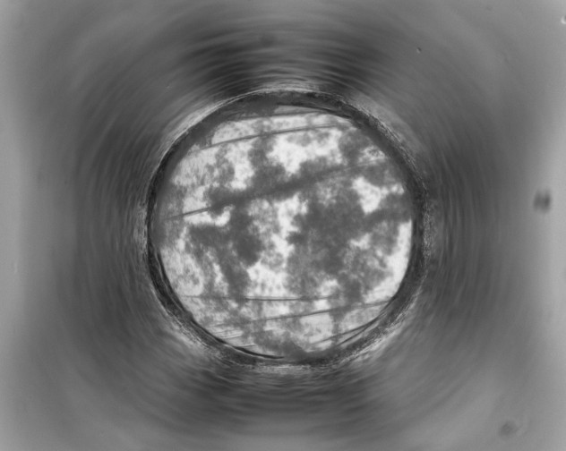 X0000098221113200805221642