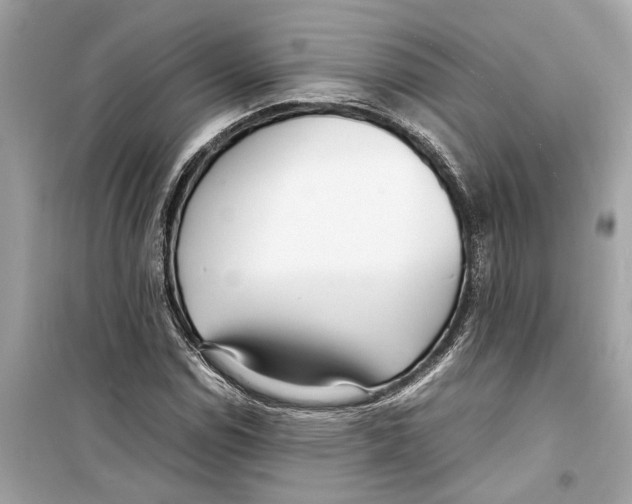 X0000098221114200805221642