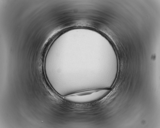 X0000098221115200805221642