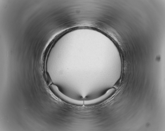 X0000098221116200805221642