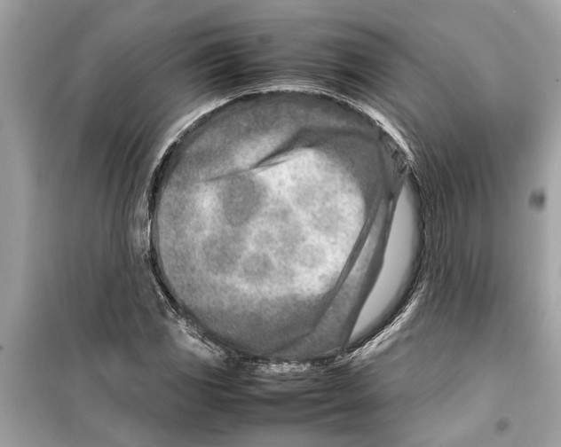 X0000098221117200805221642