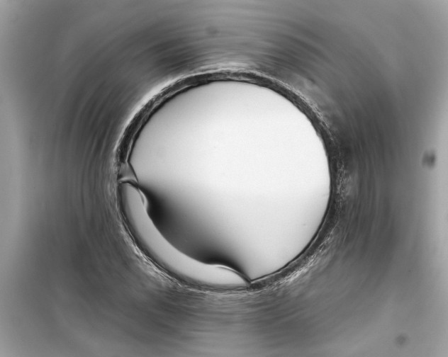 X0000098221118200805221642