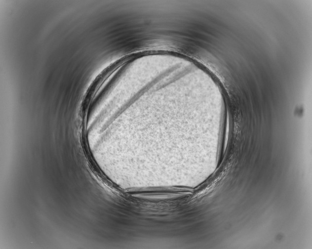 X0000098221119200805221642