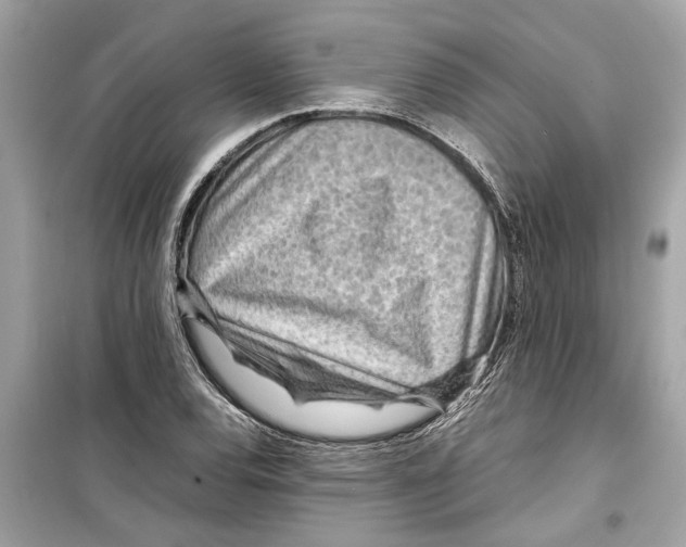 X0000098221120200805221642