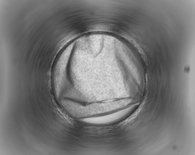 X0000098221121200805221642