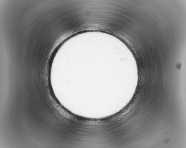 X0000098221122200805221642