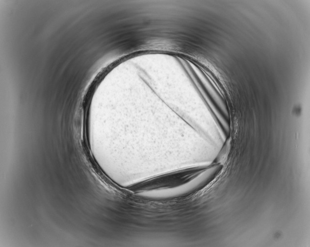 X0000098221123200805221642