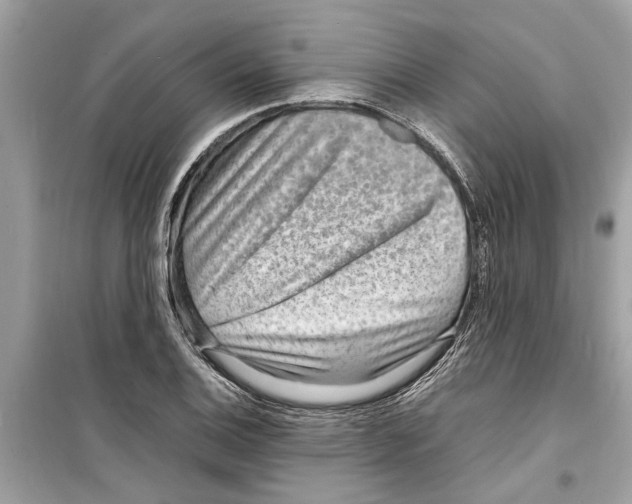 X0000098221124200805221642