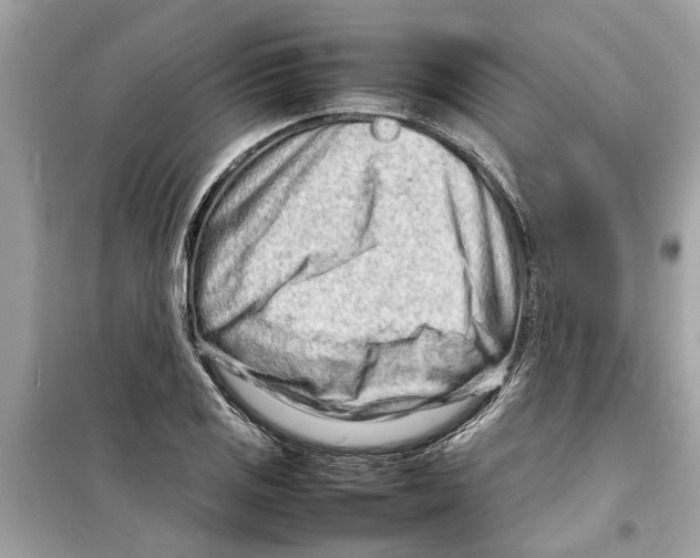 X0000098221125200805221642