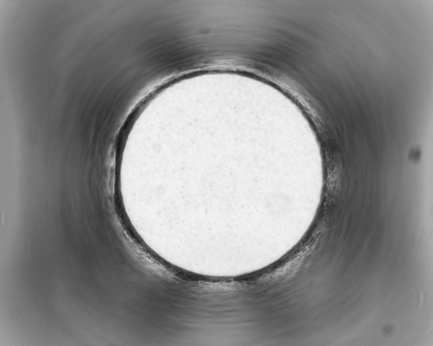 X0000098221126200805221642