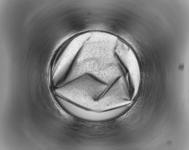 X0000098221127200805221642