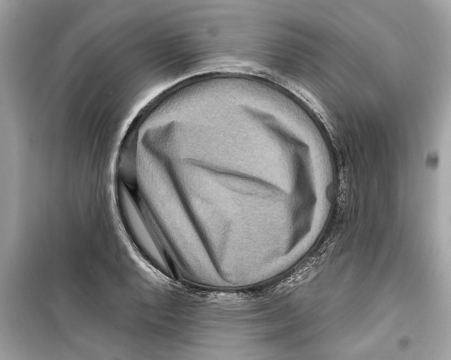 X0000098221128200805221642