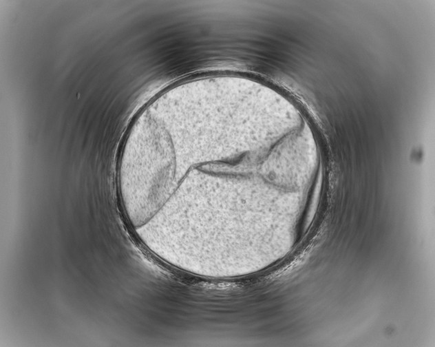 X0000098221129200805221642