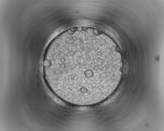 X0000098221130200805221642