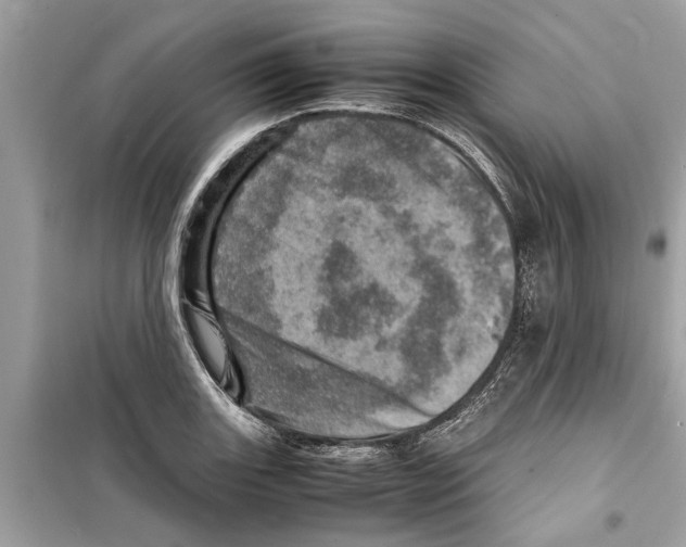 X0000098221131200805221642