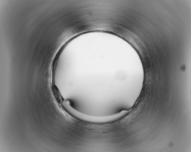 X0000098221132200805221642