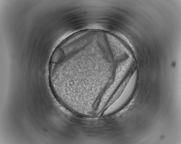 X0000098221133200805221642