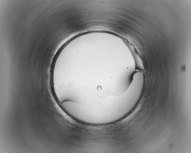 X0000098221134200805221642