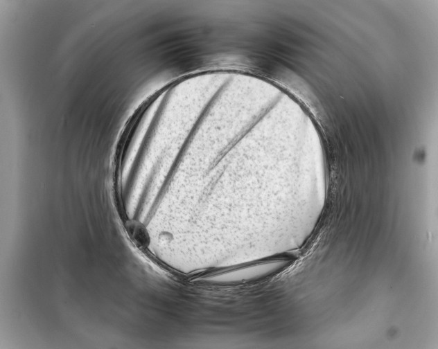 X0000098221135200805221642