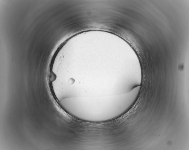 X0000098221136200805221643