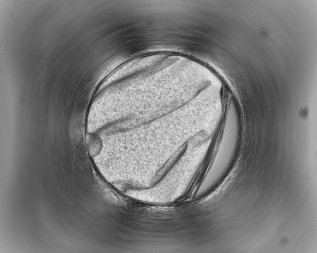 X0000098221137200805221643