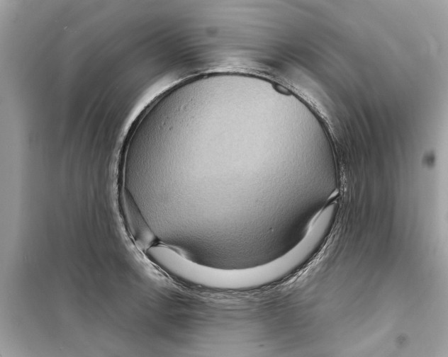X0000098221138200805221643