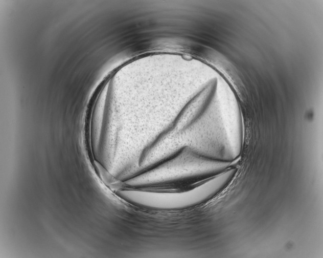 X0000098221139200805221643