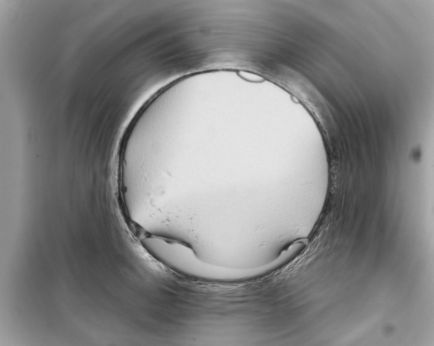 X0000098221140200805221643