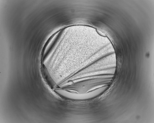 X0000098221142200805221643