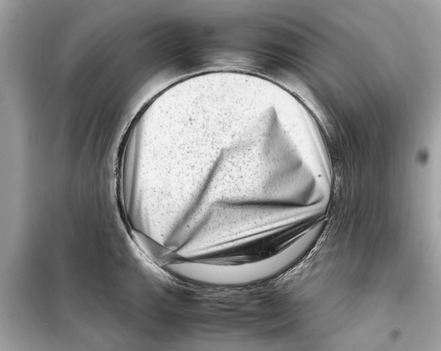 X0000098221143200805221643