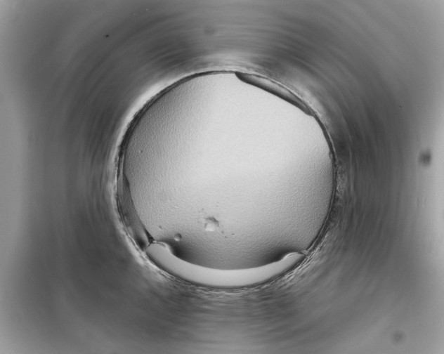 X0000098221144200805221643