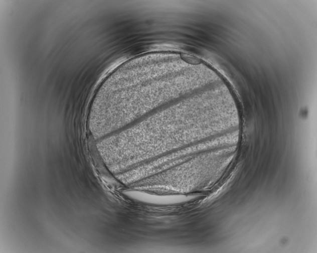 X0000098221145200805221643