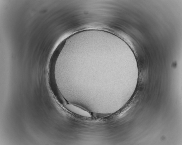 X0000098221146200805221643