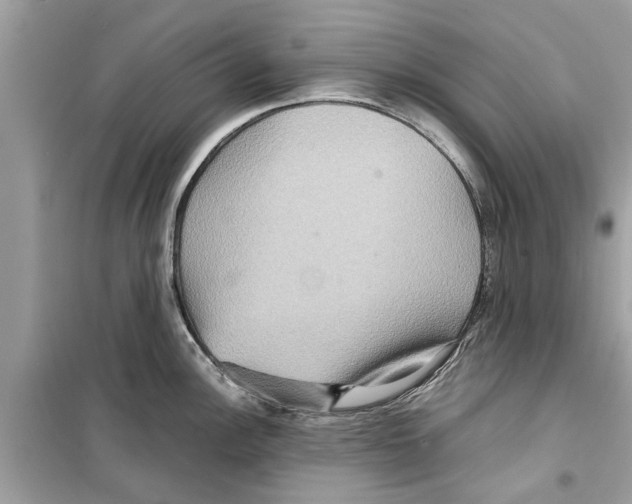 X0000098221148200805221643