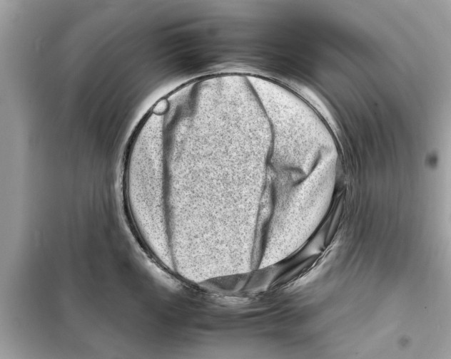 X0000098221149200805221643