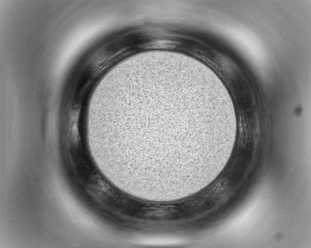 X0000098221150200805221643