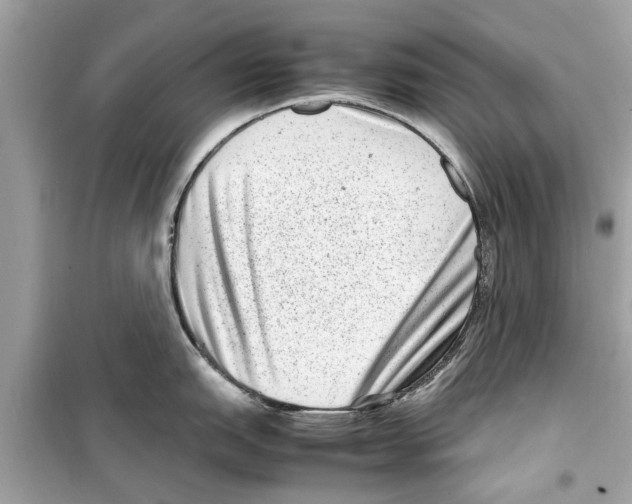 X0000098221151200805221643