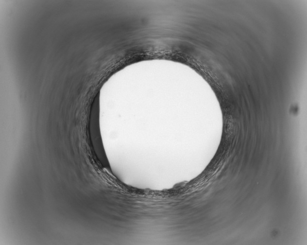 X0000098221153200805221642