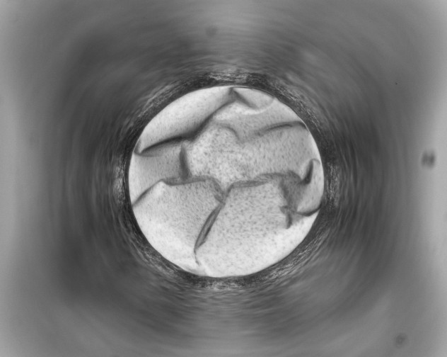 X0000098221154200805221642