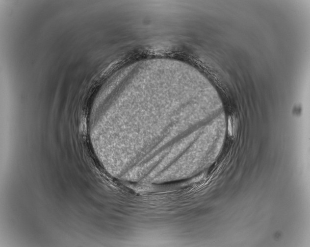 X0000098221155200805221642