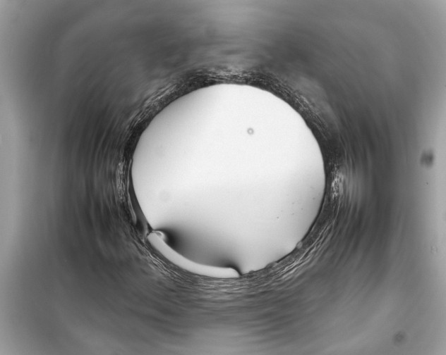 X0000098221156200805221642