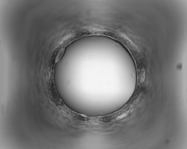 X0000098221157200805221642