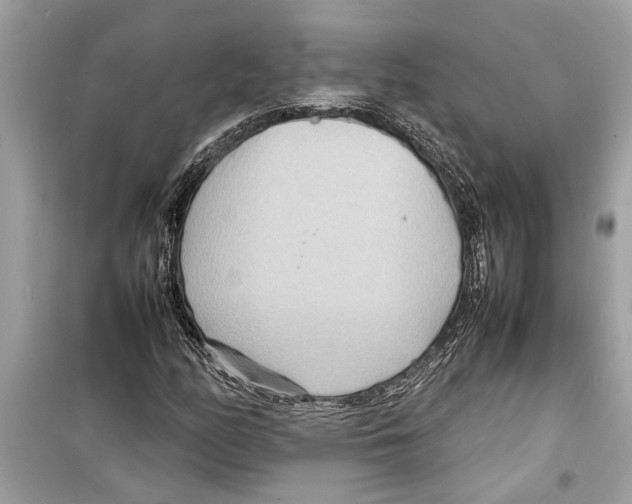 X0000098221158200805221642