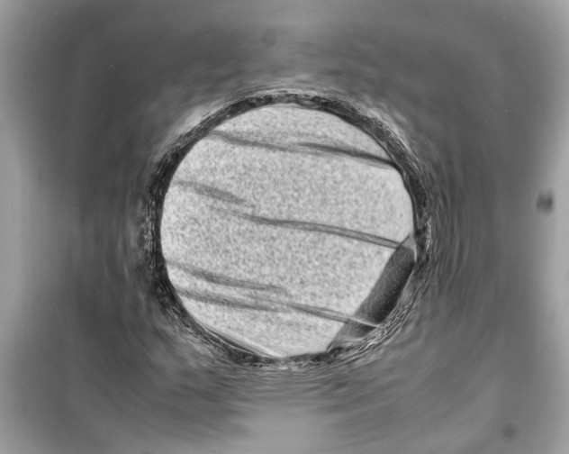 X0000098221159200805221642